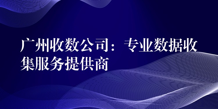 廣州收數公司：專業數據收集服務提供商——精準、高效、合規，助力企業決策制勝